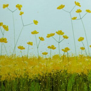 Tall Buttercups